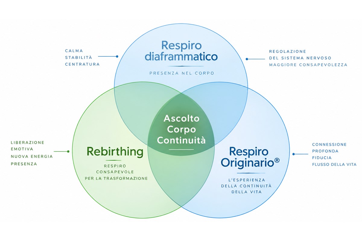 Respiro diaframmatico, Rebirthing e Respiro Originario® Tre cerchi confrontano respiro diaframmatico, Rebirthing e Respiro Originario®: al centro ascolto, corpo e continuità.